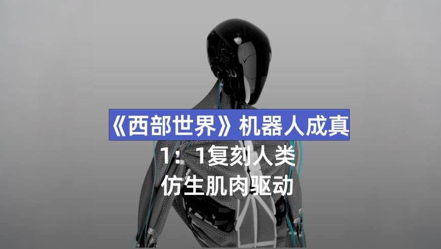 香港六合彩2025年开奖结果,总书记的黄河情,收益成语分析落实_高级版V11.96