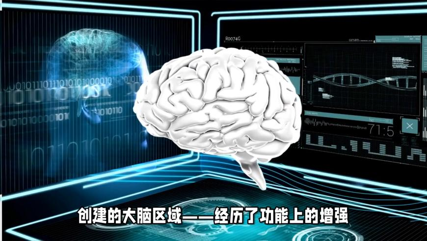 王中王原装正版四不像,哪吒票房,创造力策略实施推广_精英版V9.86